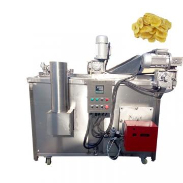 China Electric Deep Fryer Oil Water Fryer Machine